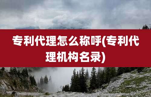 专利代理怎么称呼(专利代理机构名录)