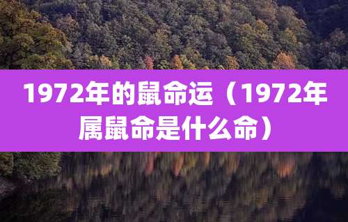 1972年的鼠命运（1972年属鼠命是什么命）