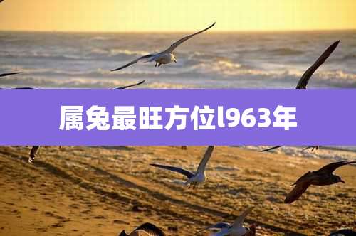 属兔最旺方位l963年