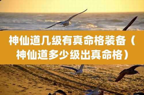 神仙道几级有真命格装备（神仙道多少级出真命格）
