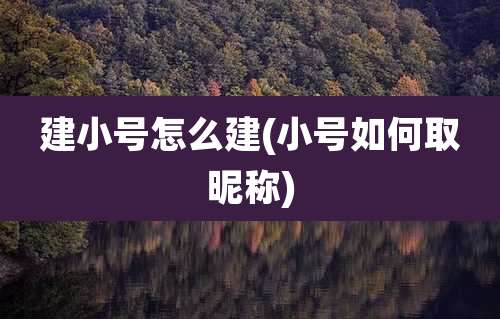 建小号怎么建(小号如何取昵称)