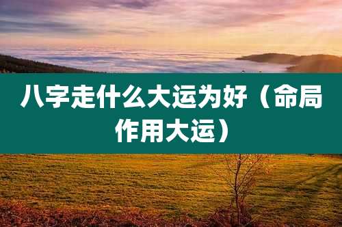 八字走什么大运为好（命局作用大运）
