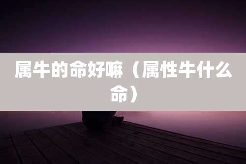 属牛的命好嘛(属性牛什么命)