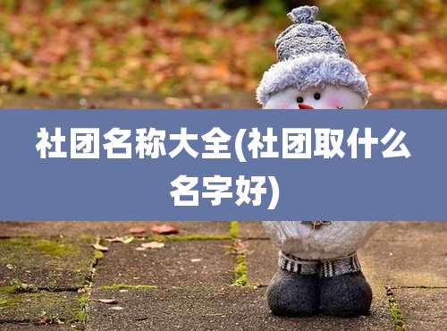 社团名称大全(社团取什么名字好)