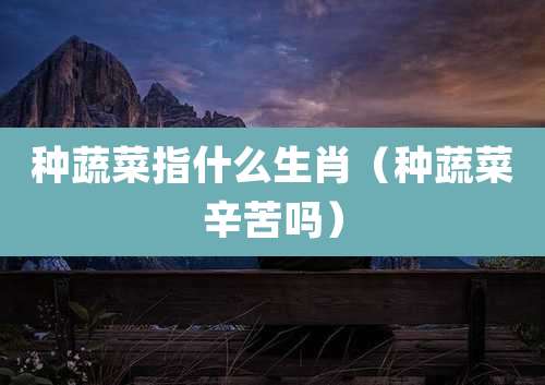 种蔬菜指什么生肖（种蔬菜辛苦吗）