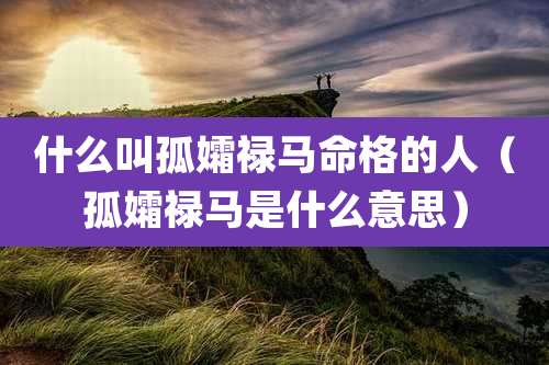 什么叫孤孀禄马命格的人（孤孀禄马是什么意思）