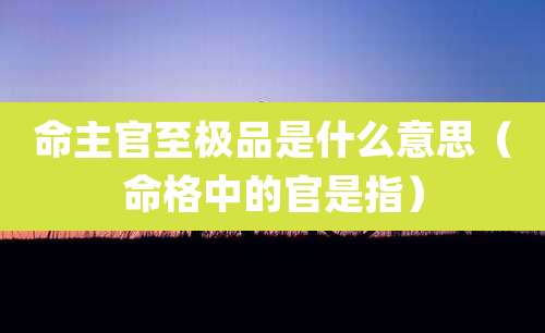 命主官至极品是什么意思（命格中的官是指）