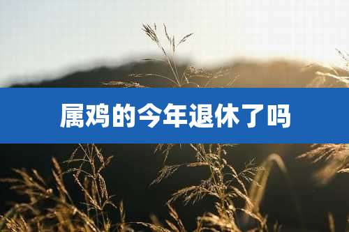 属鸡的今年退休了吗