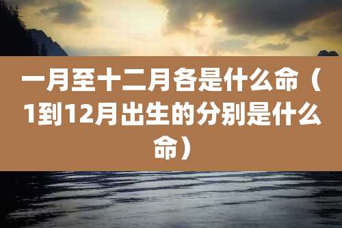 一月至十二月各是什么命(1到12月出生的分别是什么命)