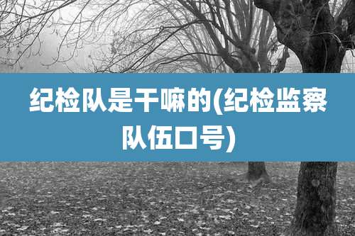 纪检队是干嘛的(纪检监察队伍口号)