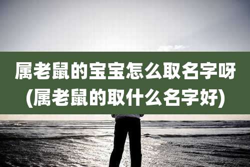 属老鼠的宝宝怎么取名字呀(属老鼠的取什么名字好)