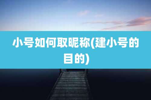 小号如何取昵称(建小号的目的)