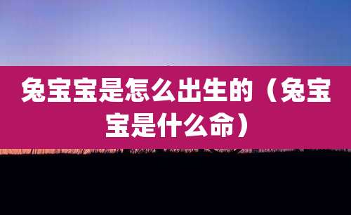 兔宝宝是怎么出生的(兔宝宝是什么命)