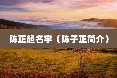 陈正起名字（陈子正简介）