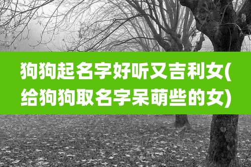 狗狗起名字好听又吉利女(给狗狗取名字呆萌些的女)