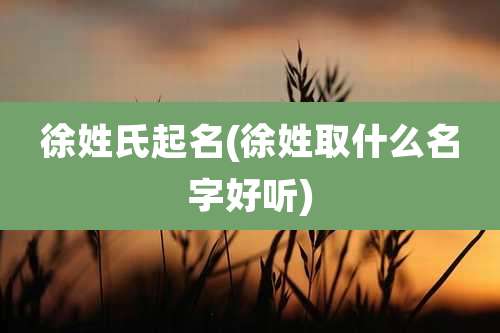 徐姓氏起名(徐姓取什么名字好听)