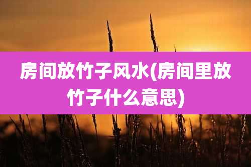 房间放竹子风水(房间里放竹子什么意思)