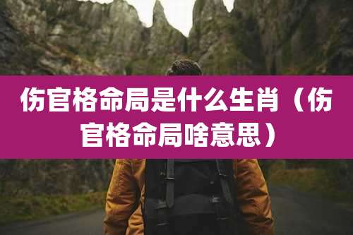 伤官格命局是什么生肖（伤官格命局啥意思）