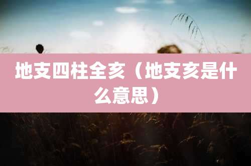 地支四柱全亥（地支亥是什么意思）