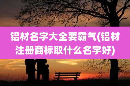 铝材名字大全要霸气(铝材注册商标取什么名字好)