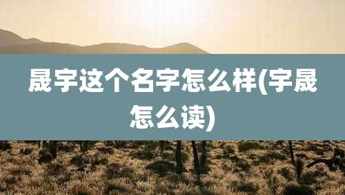 晟宇这个名字怎么样(宇晟怎么读)