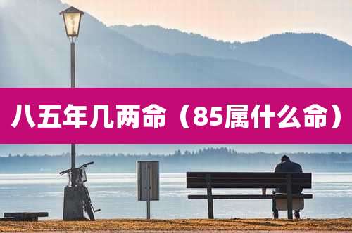 八五年几两命（85属什么命）