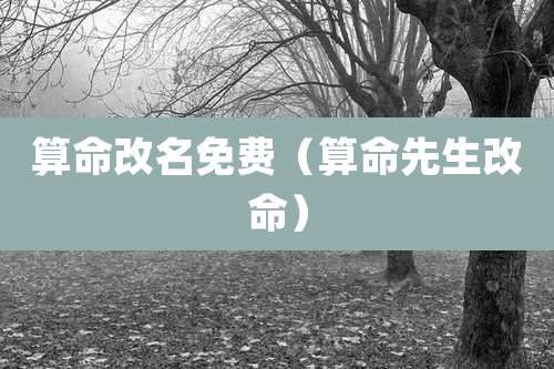 算命改名免费（算命先生改命）