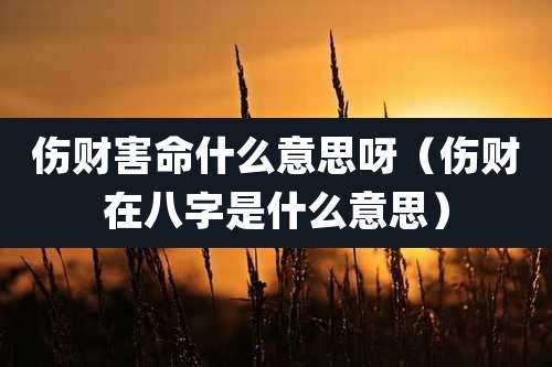 伤财害命什么意思呀（伤财在八字是什么意思）