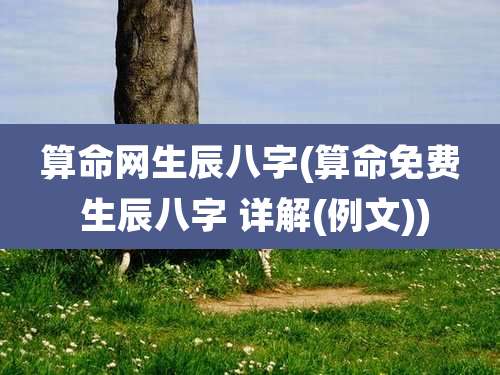 算命网生辰八字(算命免费 生辰八字 详解(例文))