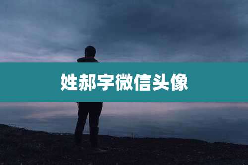 姓郝字微信头像