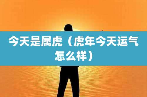 今天是属虎（虎年今天运气怎么样）