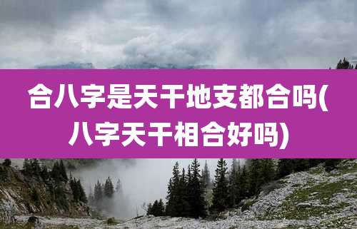 合八字是天干地支都合吗(八字天干相合好吗)