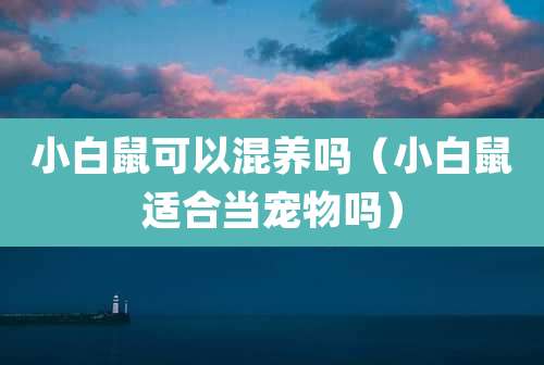 小白鼠可以混养吗(小白鼠适合当宠物吗)