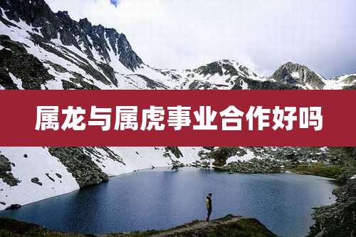 属龙与属虎事业合作好吗