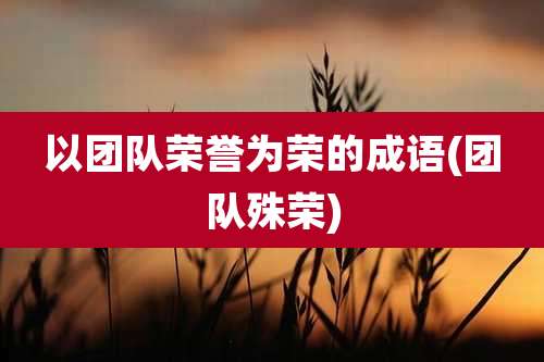 以团队荣誉为荣的成语(团队殊荣)