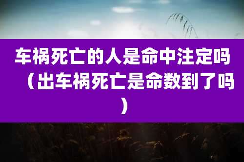 车祸死亡的人是命中注定吗（出车祸死亡是命数到了吗）