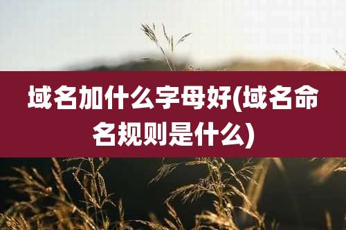 域名加什么字母好(域名命名规则是什么)