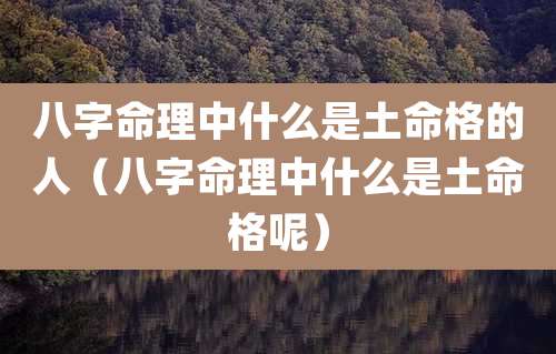 八字命理中什么是土命格的人(八字命理中什么是土命格呢)