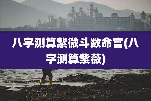 八字测算紫微斗数命宫(八字测算紫薇)