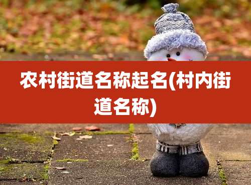 农村街道名称起名(村内街道名称)