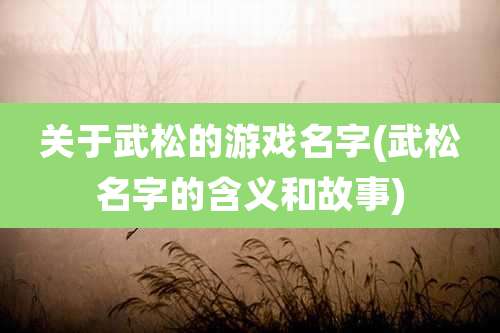 关于武松的游戏名字(武松名字的含义和故事)