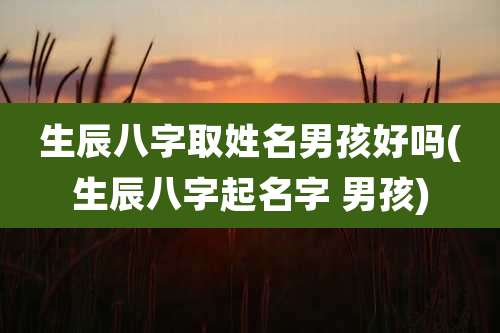 生辰八字取姓名男孩好吗(生辰八字起名字 男孩)