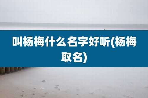 叫杨梅什么名字好听(杨梅取名)