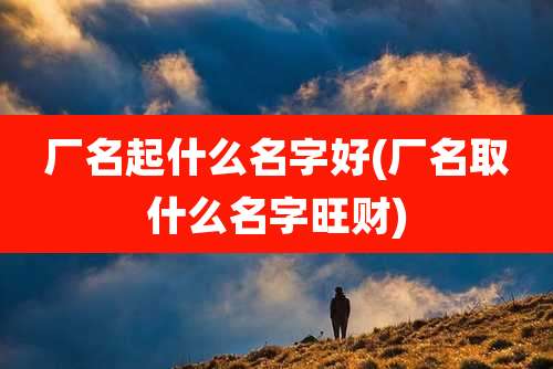 厂名起什么名字好(厂名取什么名字旺财)