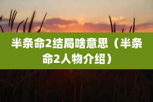 半条命2结局啥意思（半条命2人物介绍）