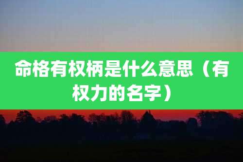 命格有权柄是什么意思(有权力的名字)