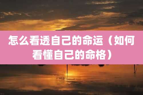 怎么看透自己的命运(如何看懂自己的命格)