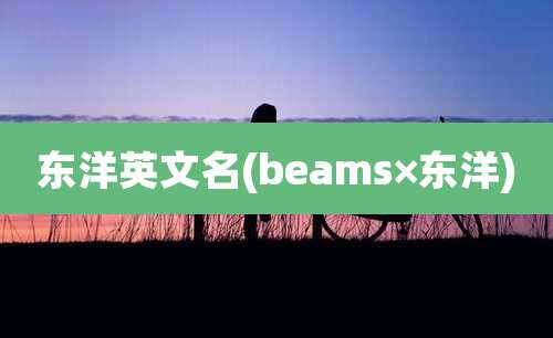 东洋英文名(beams×东洋)