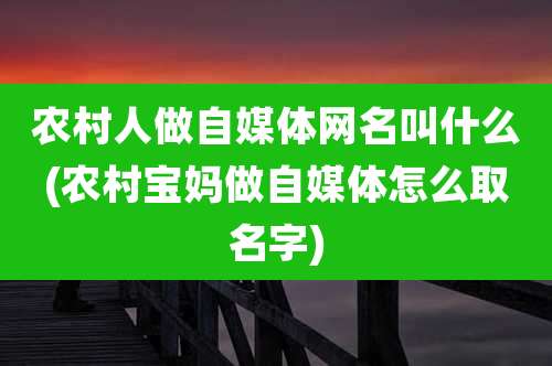 农村人做自媒体网名叫什么(农村宝妈做自媒体怎么取名字)
