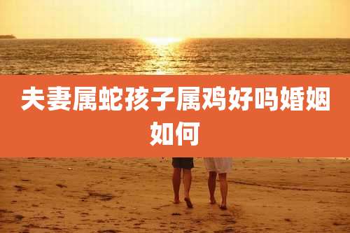 夫妻属蛇孩子属鸡好吗婚姻如何